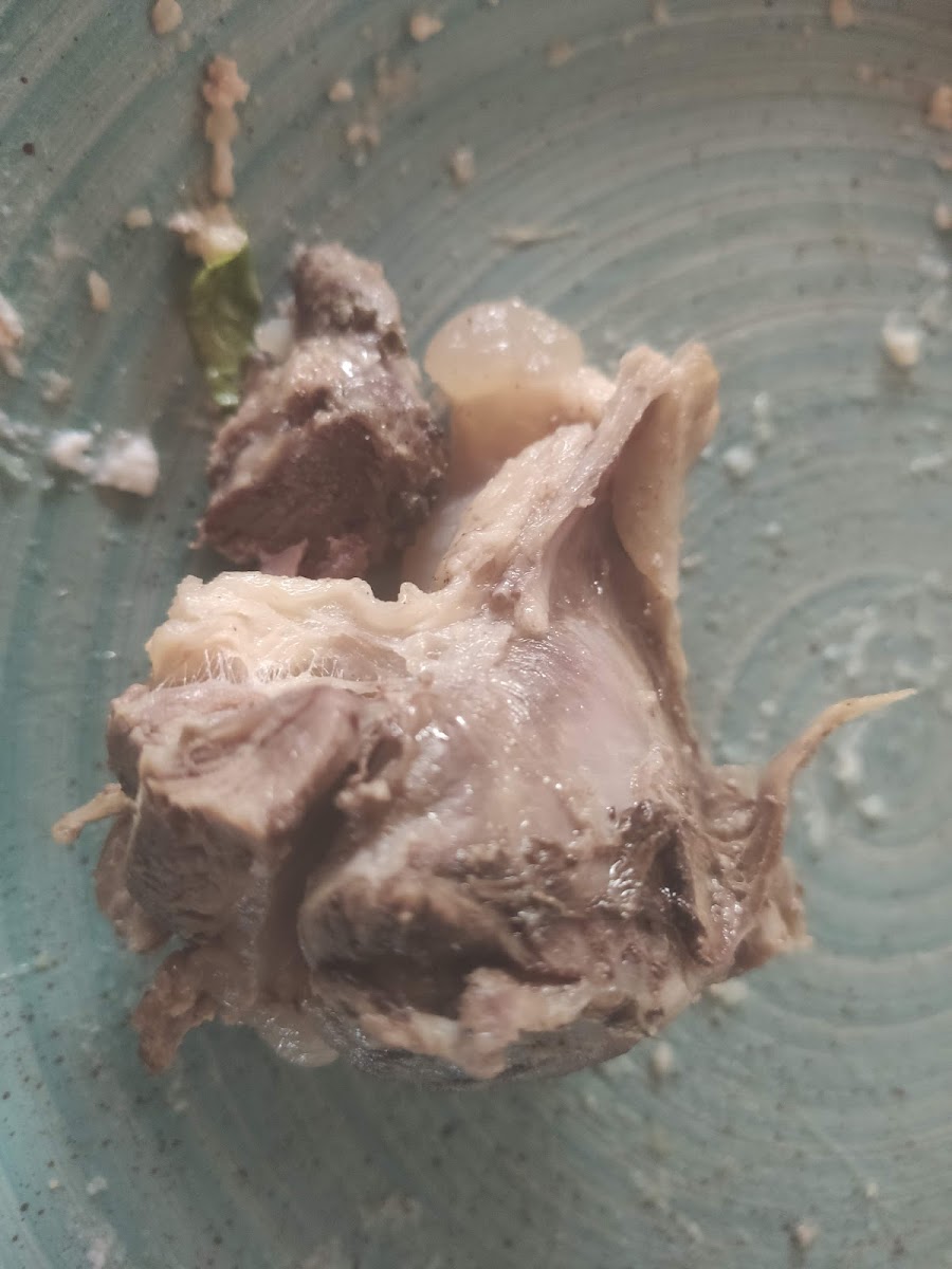 Sofia And Andreas Traditional House-10